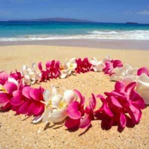 Meet your Posher, Leia